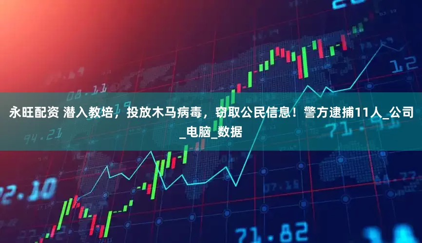 永旺配资 潜入教培，投放木马病毒，窃取公民信息！警方逮捕11人_公司_电脑_数据