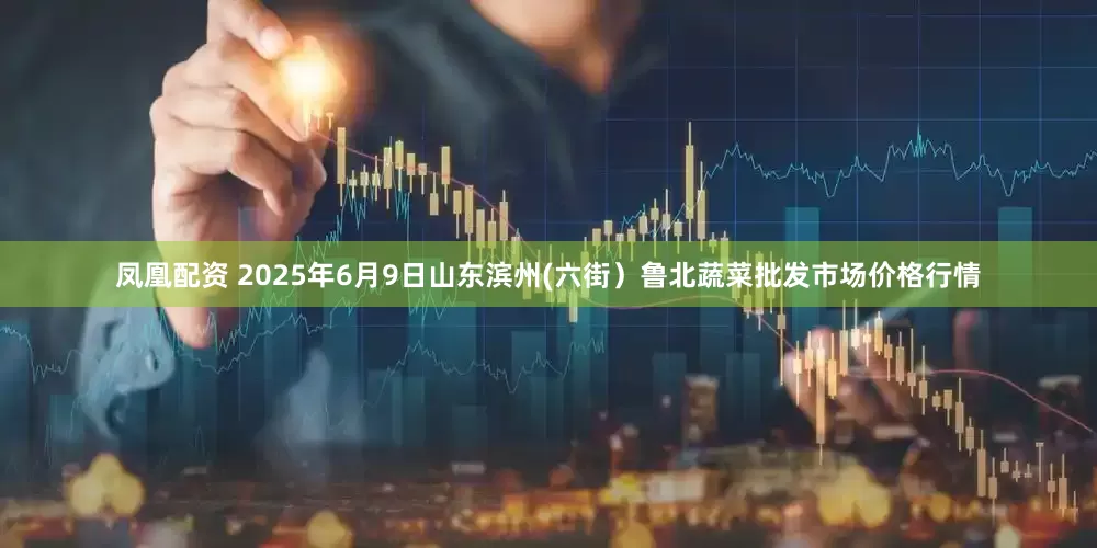 凤凰配资 2025年6月9日山东滨州(六街）鲁北蔬菜批发市场价格行情